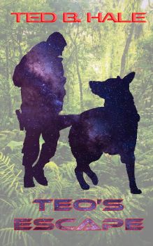 Teo's Escape cover